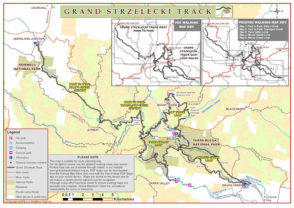 The Grand Strzelecki Track - Walks of discovery in the Great Forest ...