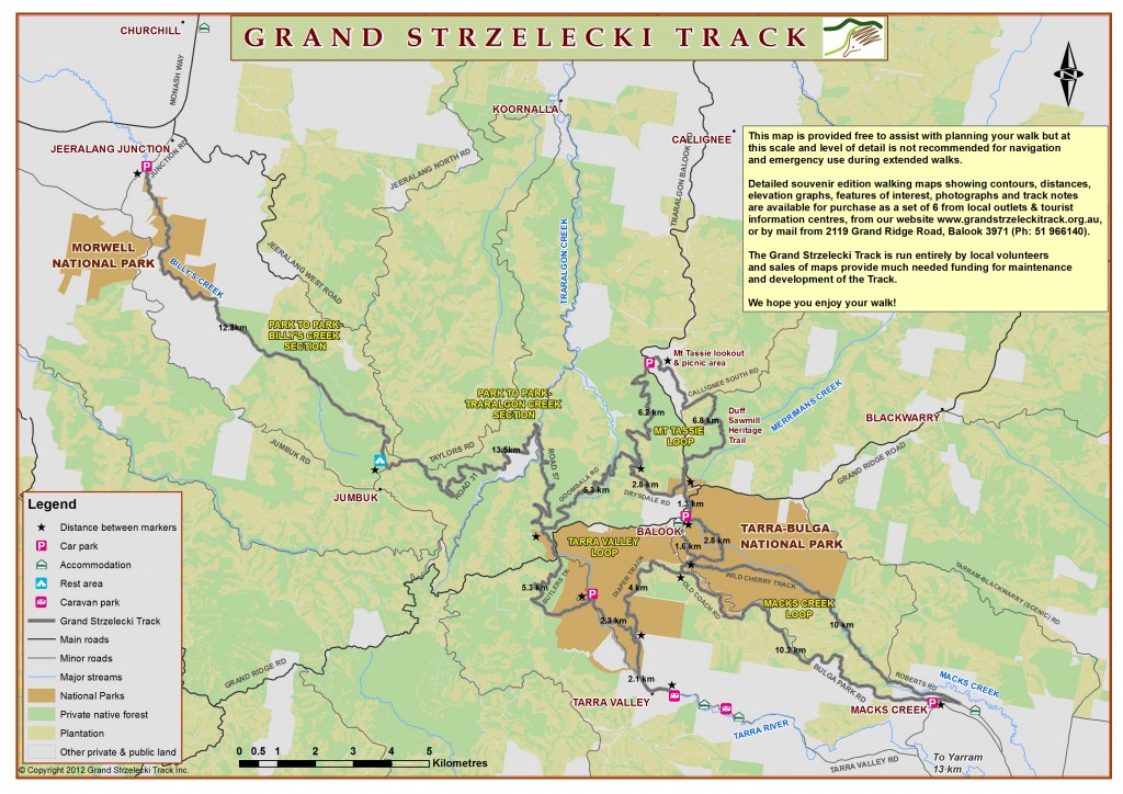 The Grand Strzelecki Track - Walks of discovery in the Great Forest ...