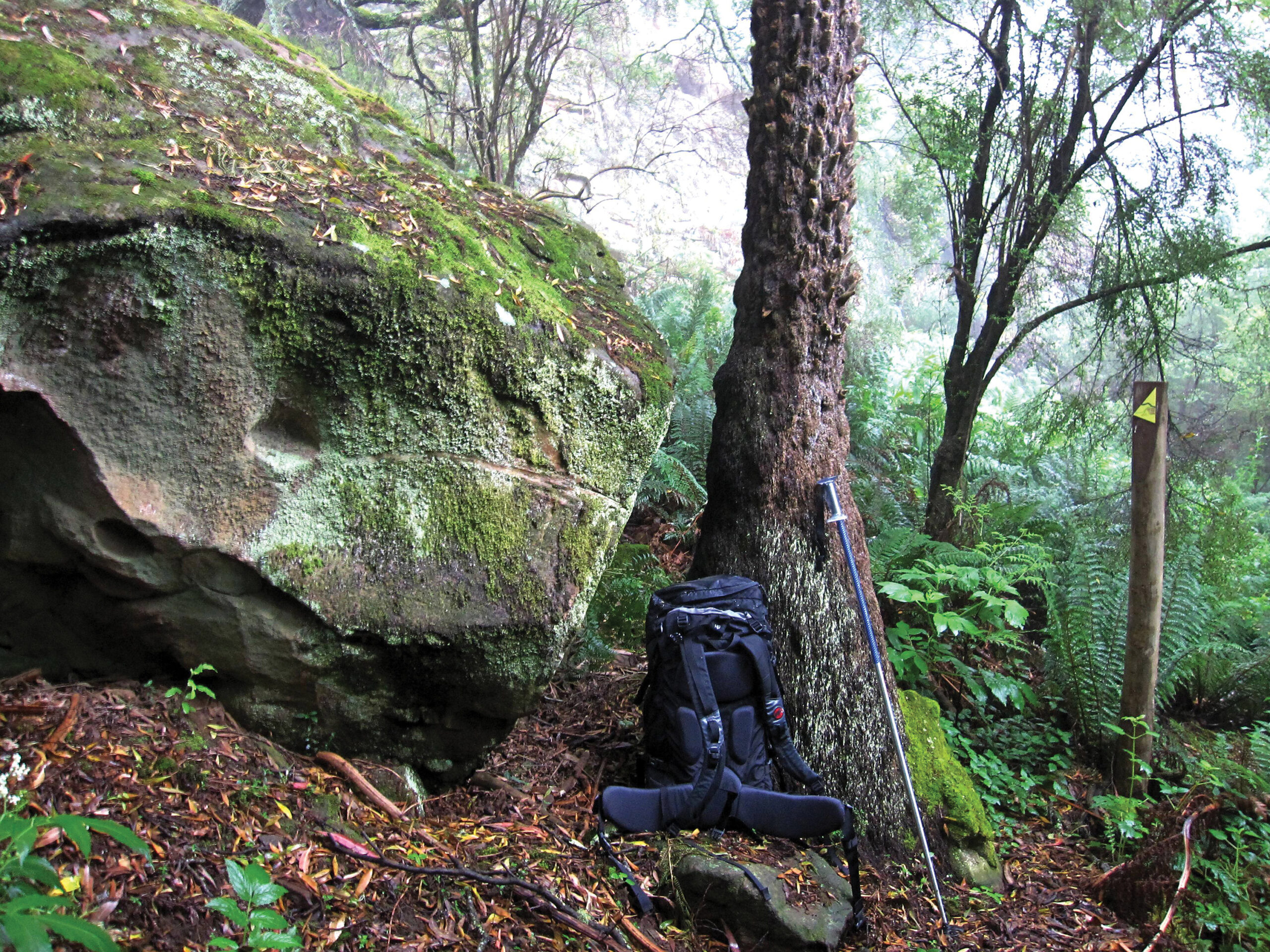 Wild Magazine feature artefact by Craig Pearce – April 2023