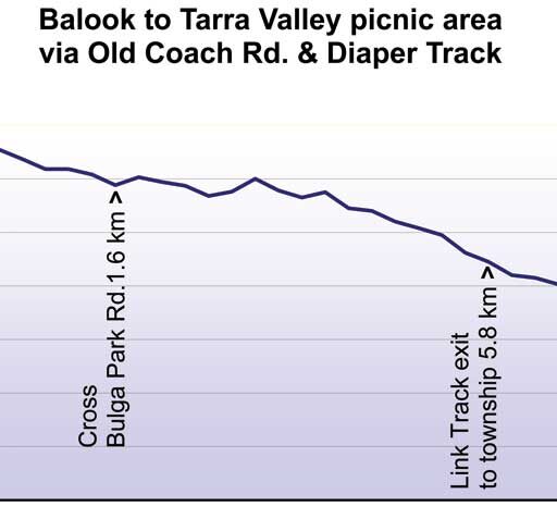 Balook to Tarra Valley picnic area via Old Coach Rd. & Diaper Track