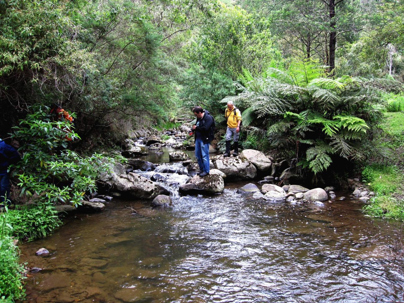 Macks creek crossing