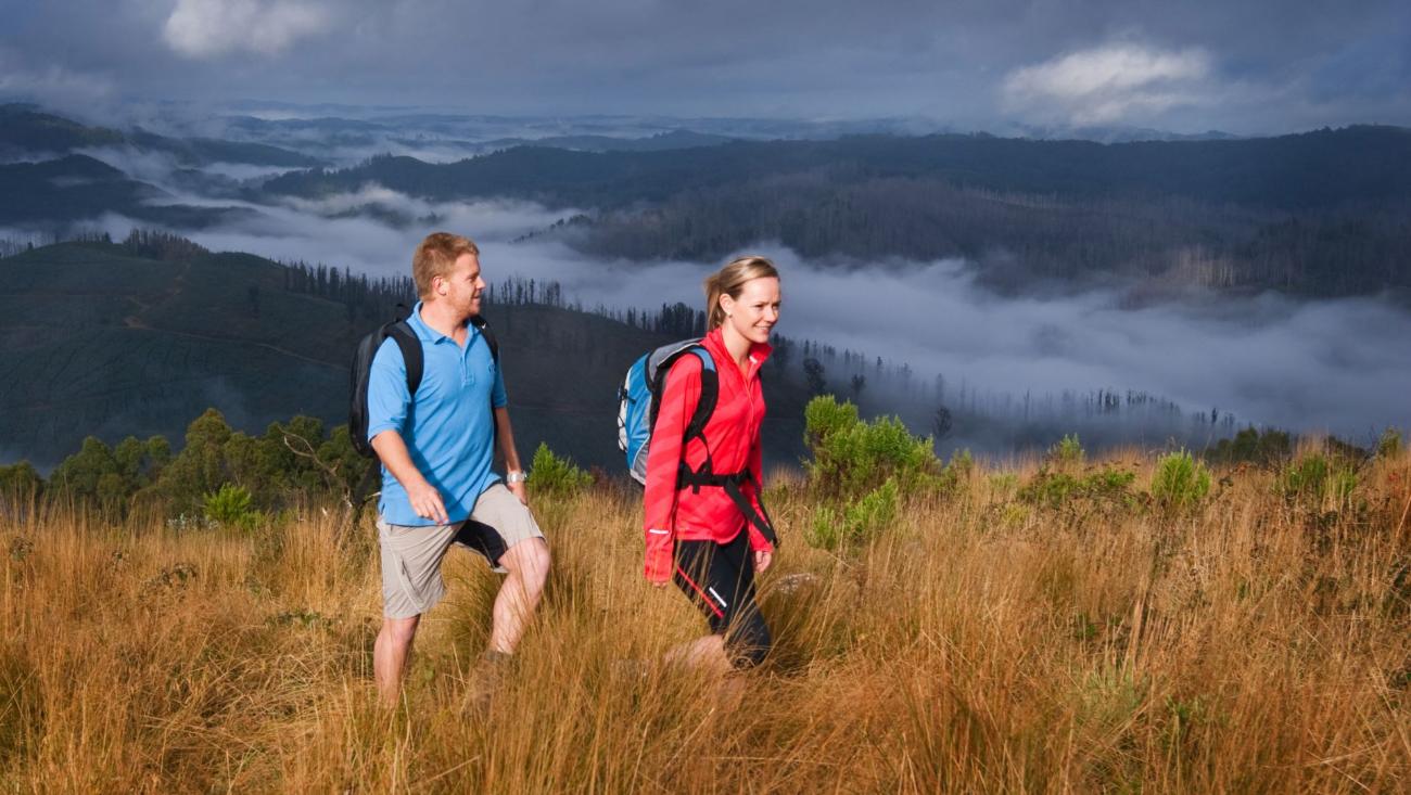 mount-tassie-view-across-misty-ranges-darryl-whitaker-djwtv